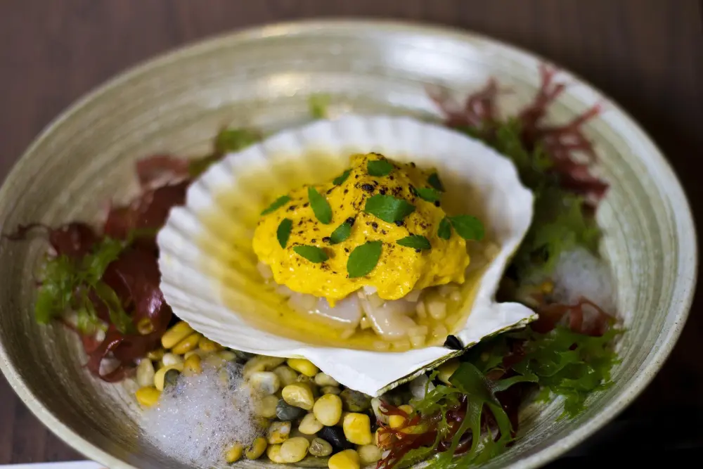 scallops