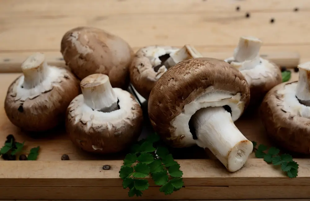 mushroom_week